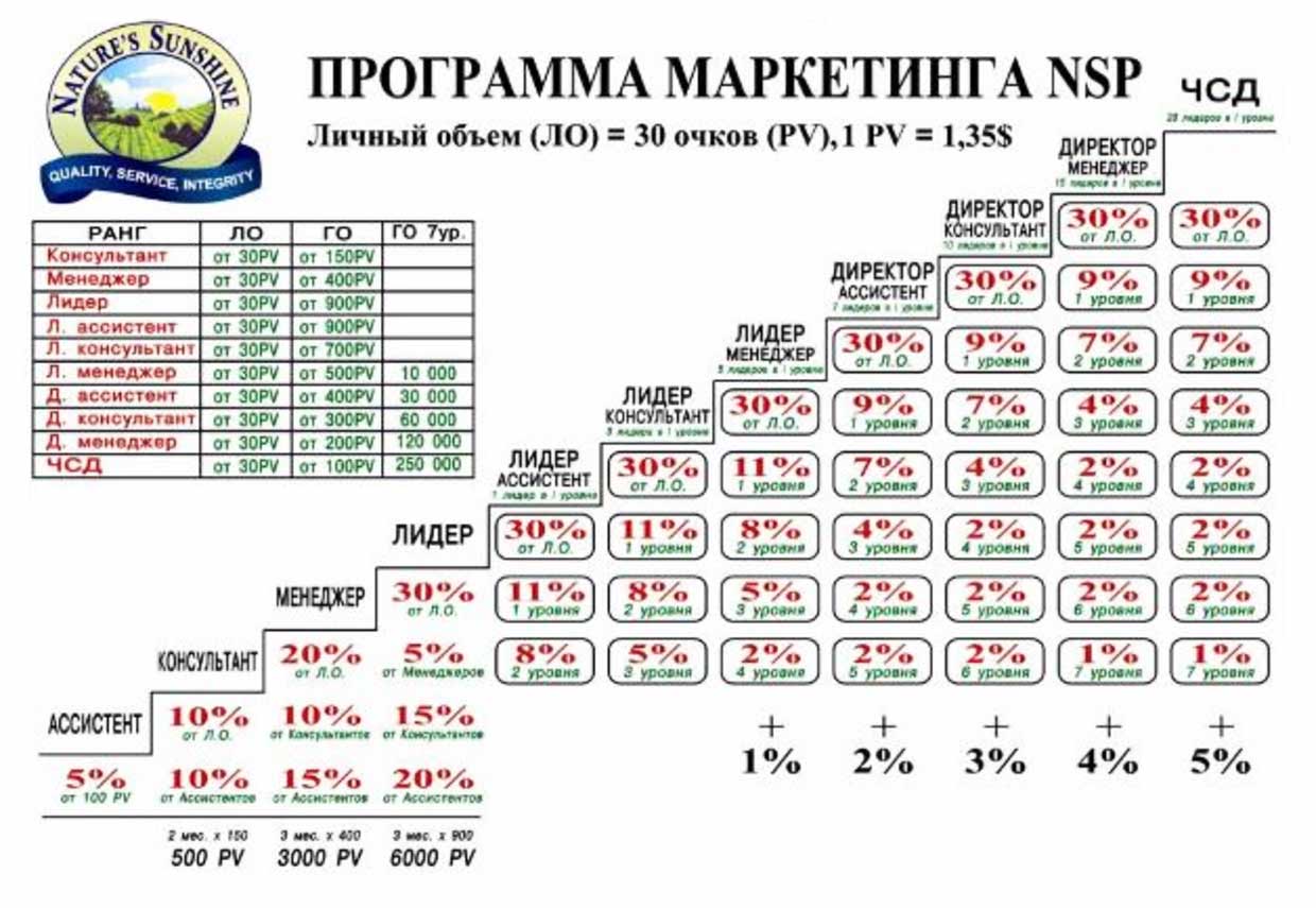 Маркетинг план nsp