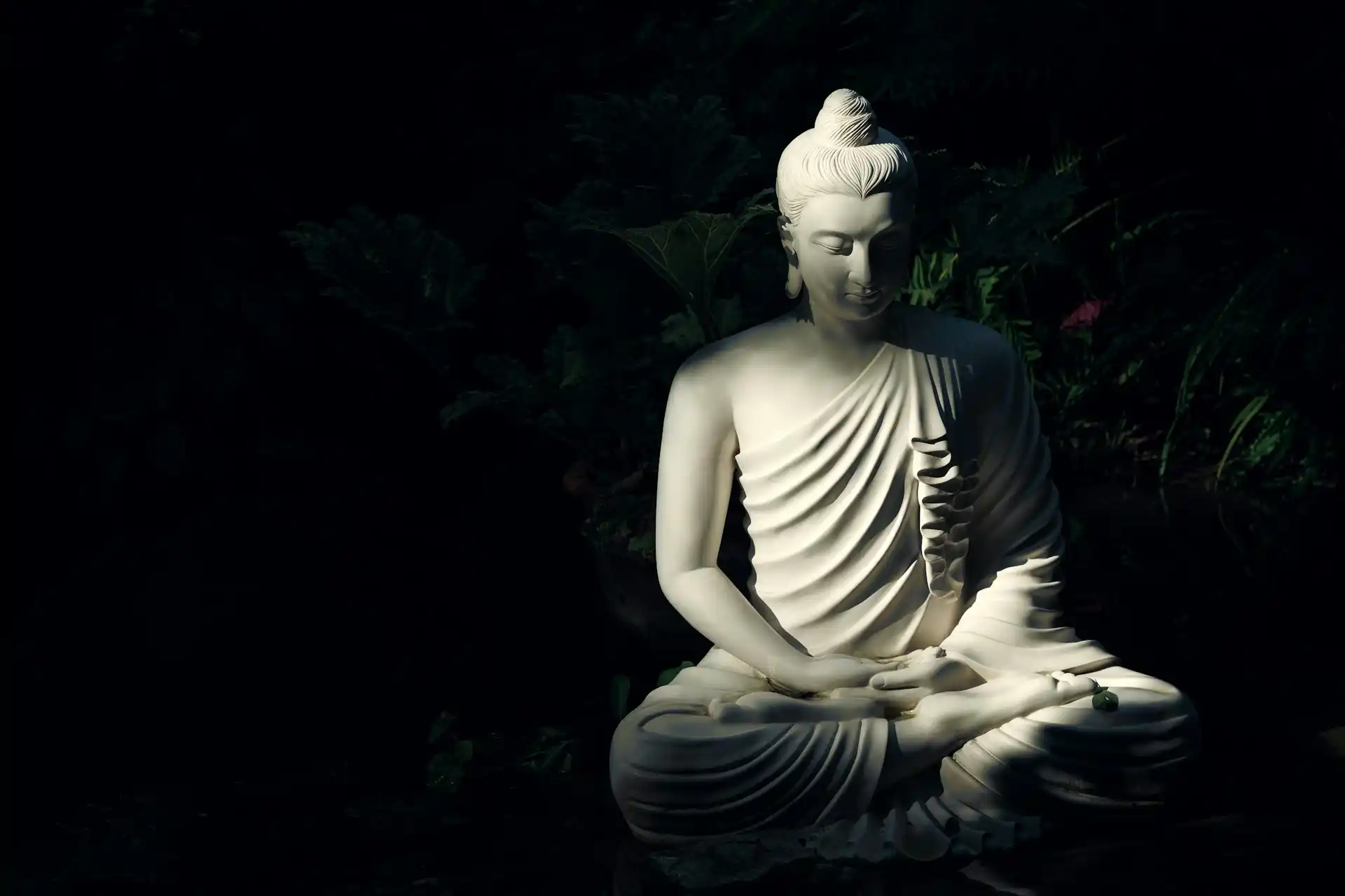 budha