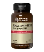 Кордицепс