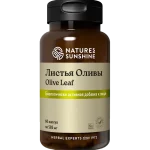 Листья оливы