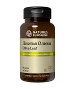 Листья оливы