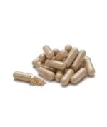 Дикий Ямс — изображение 2