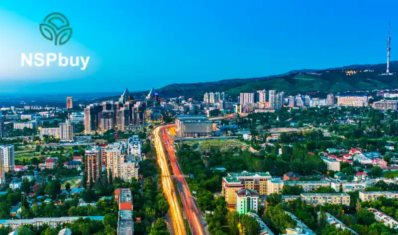 Купить НСП (NSP) в городе Алматы 1 almaty