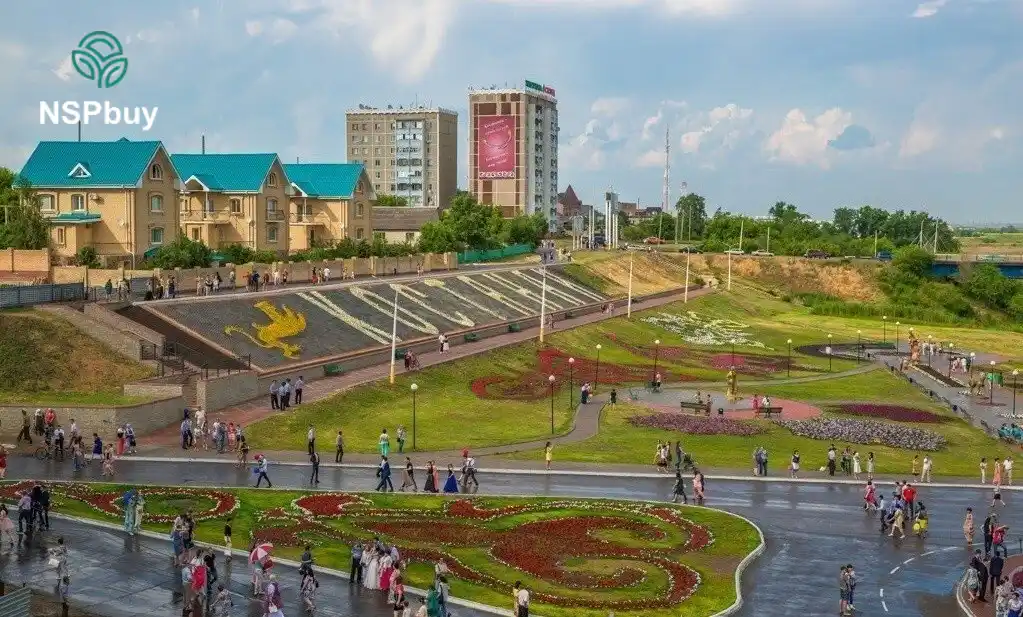 Купить НСП (NSP) в Костанае 1 kostanayi