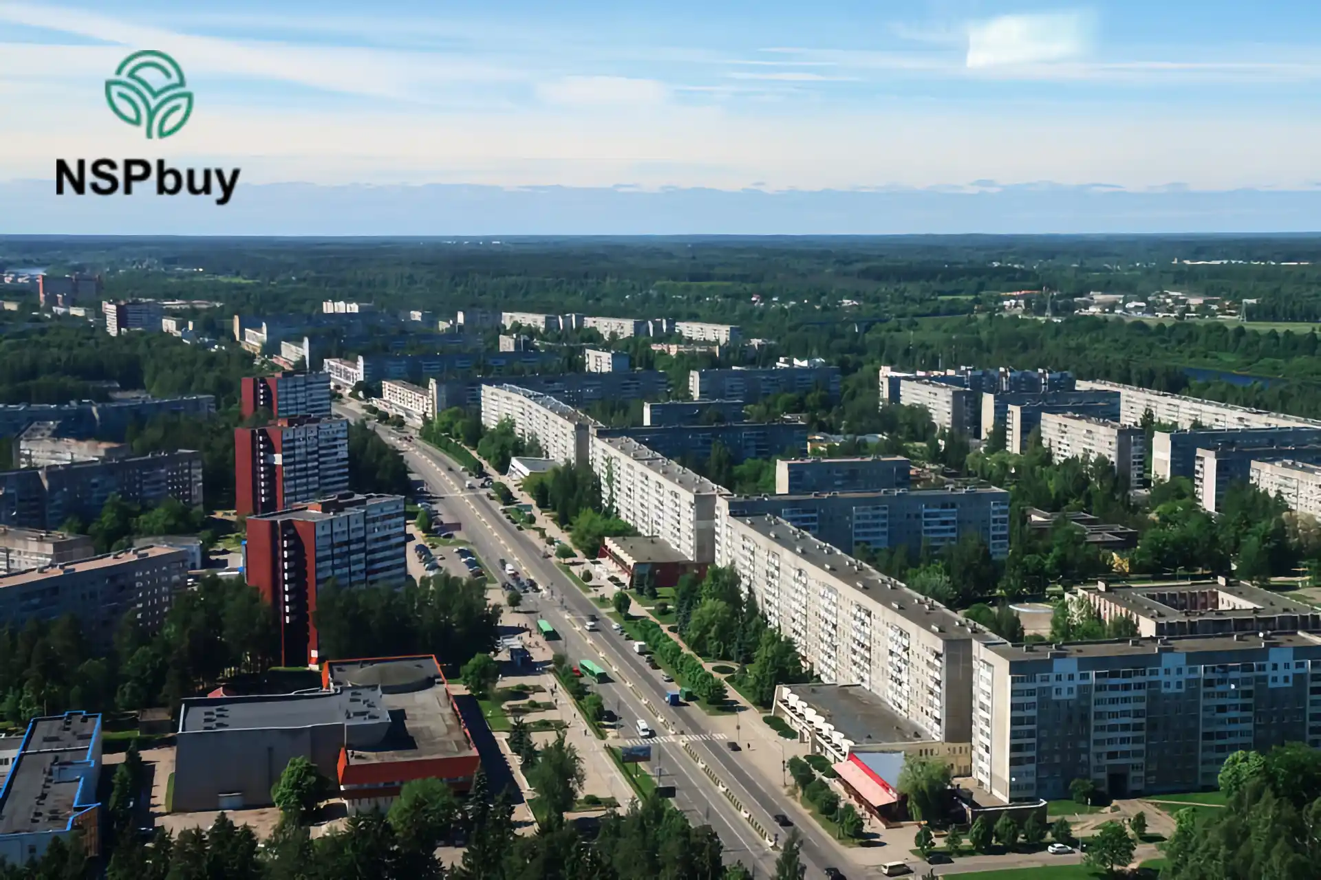 Купить НСП (NSP) в Новополоцке 1 novopolozk nsp