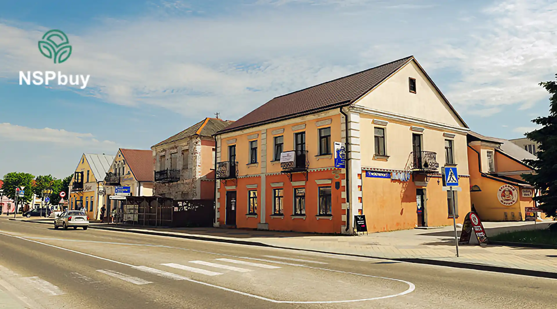 Купить НСП (NSP) в Кобрине 1 nsp kobrin