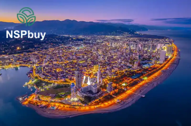 Купить НСП (NSP) в городе Батуми 1 nsp v batumi