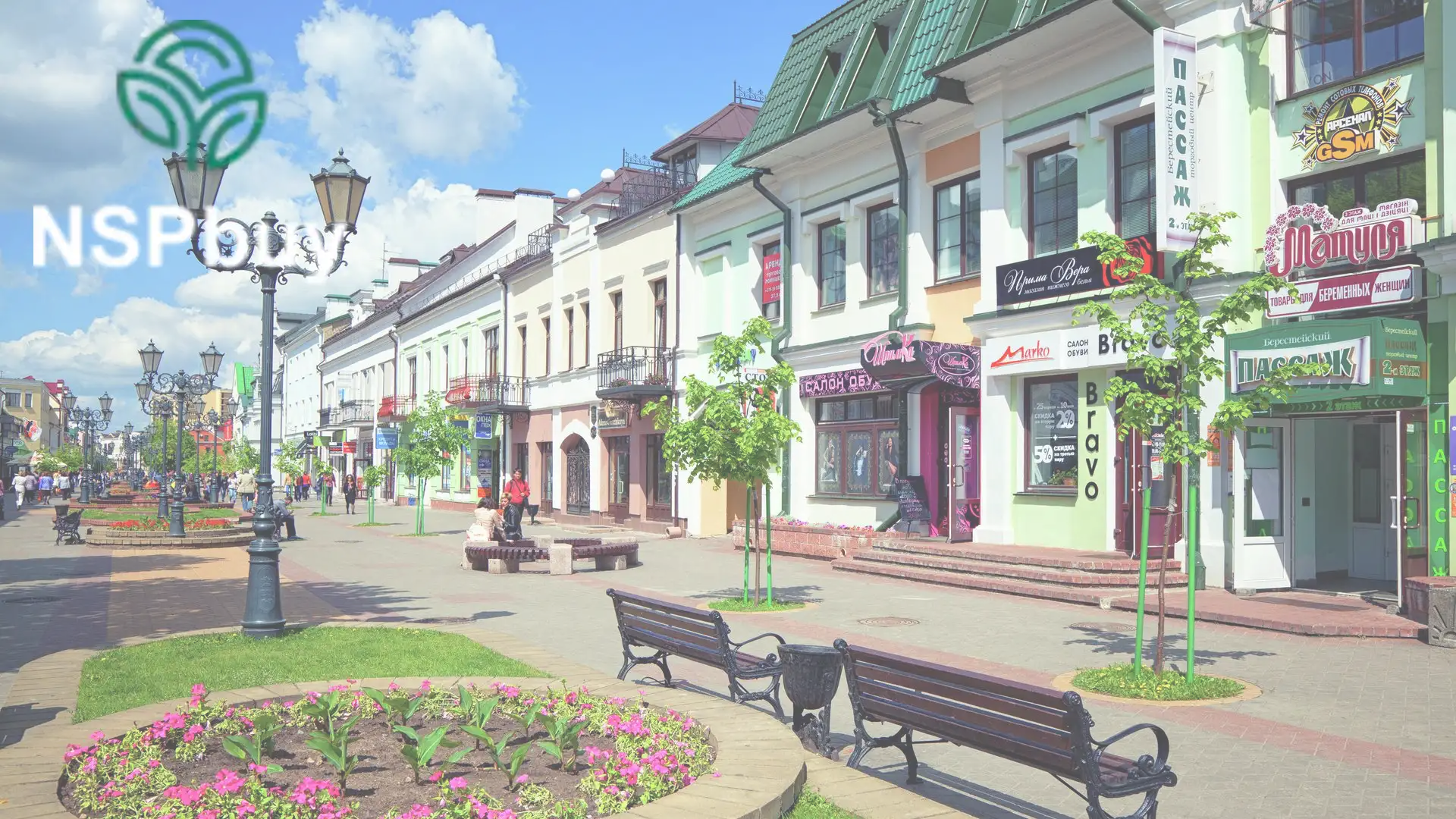 Купить НСП (NSP) в Бресте 1 nsp v breste
