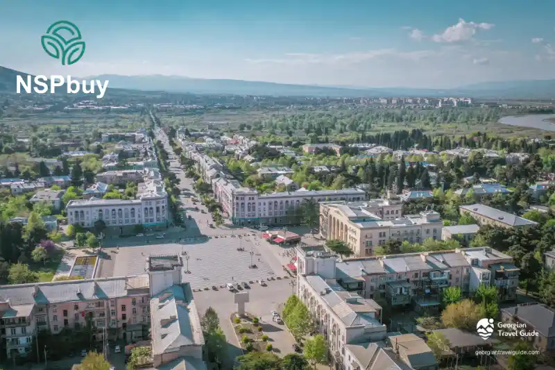 Купить НСП (NSP) в городе Рустави 1 nsp v rustavi