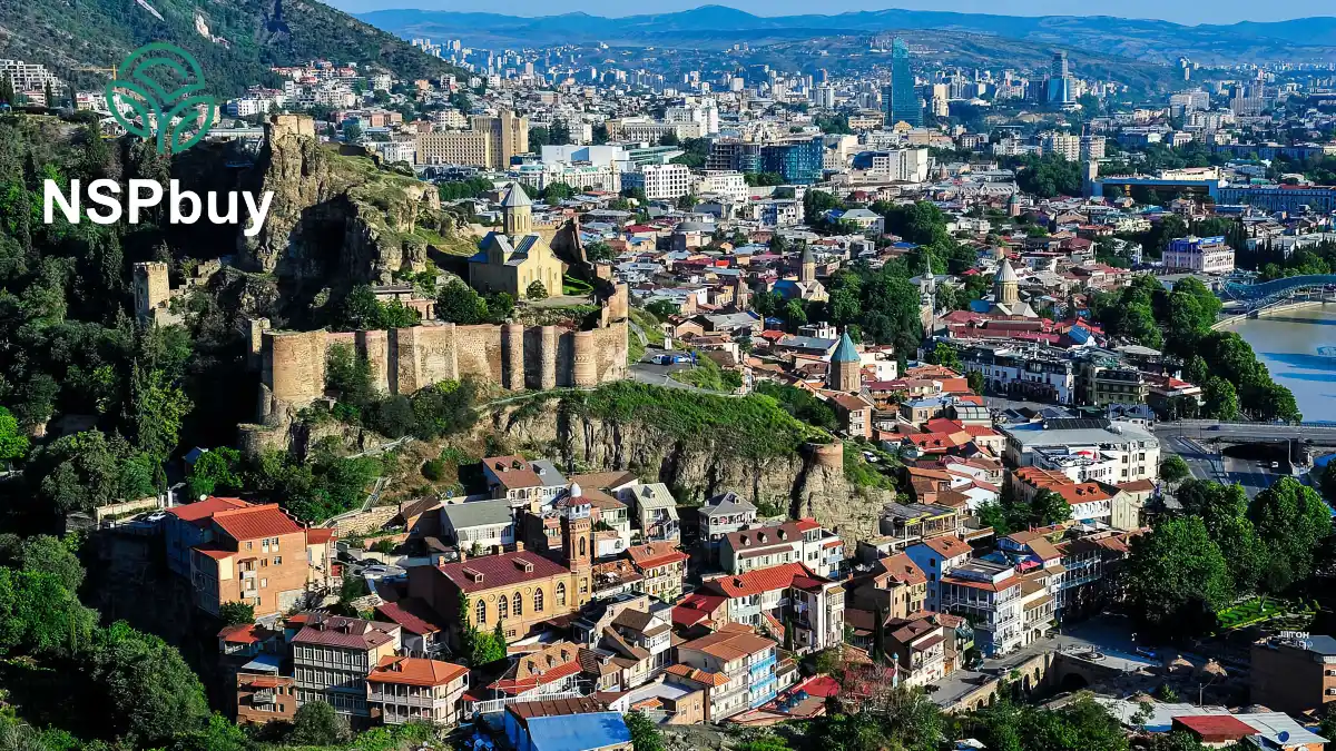 Купить НСП (NSP) в городе Тбилиси 1 nsp v tbilisi