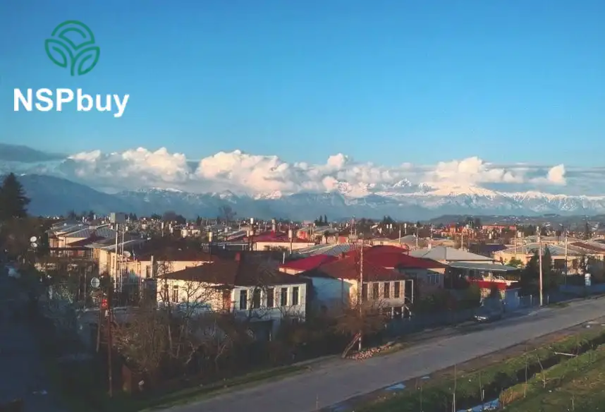 Купить НСП (NSP) в городе Зугдиди 1 nsp v zugdidi