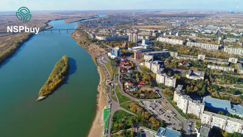 Купить НСП (NSP) в Павлодаре 1 pavlodar