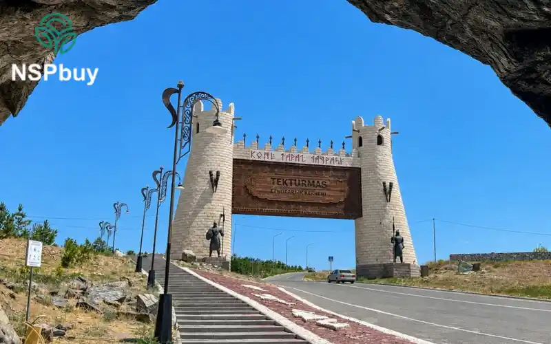 Купить НСП (NSP) в Таразе 1 taraz