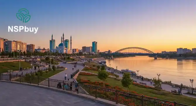 Купить НСП (NSP) в Уральске 1 uralsk