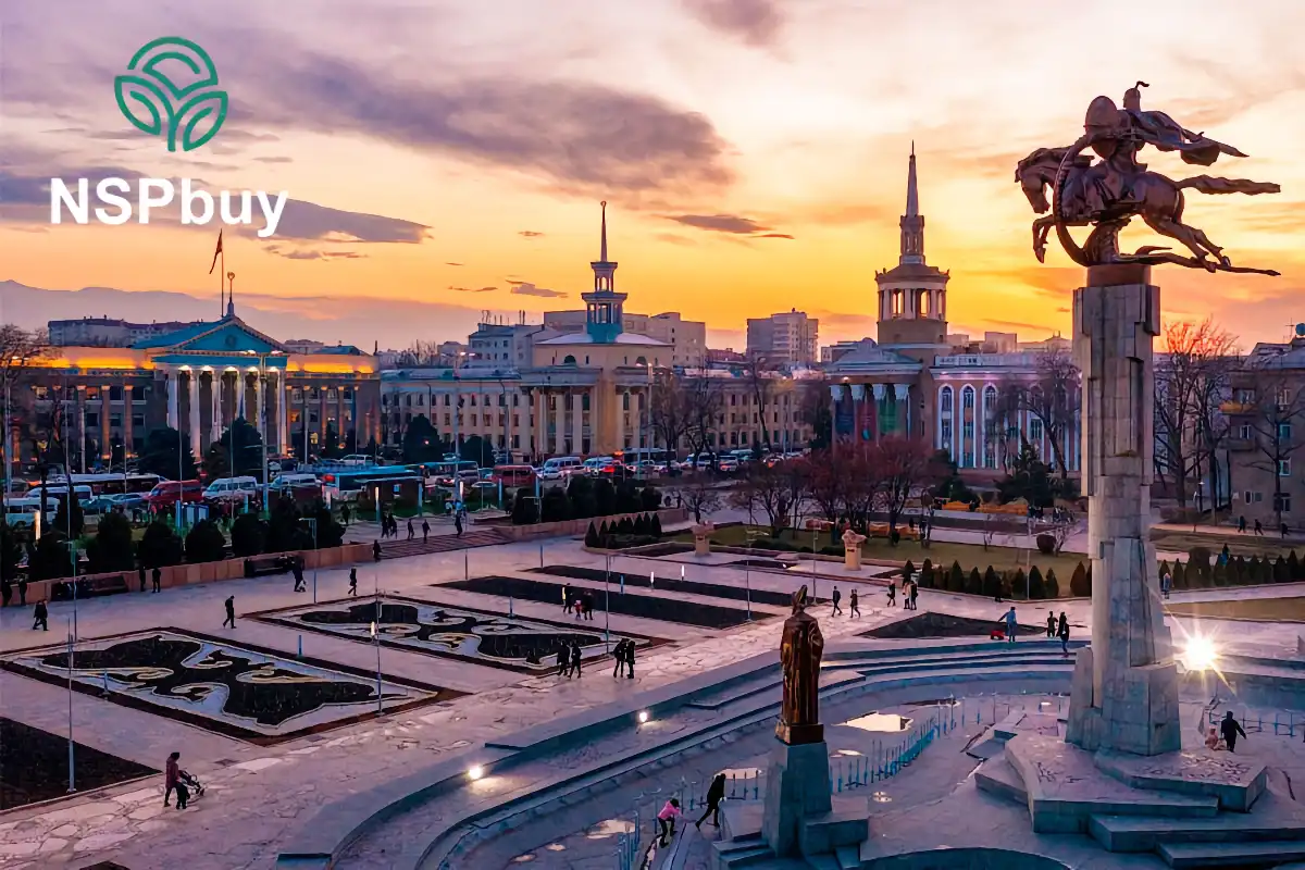 Купить NSP Бишкеке 1 Продукция NSP в Бишкеке официальный сервисный центр