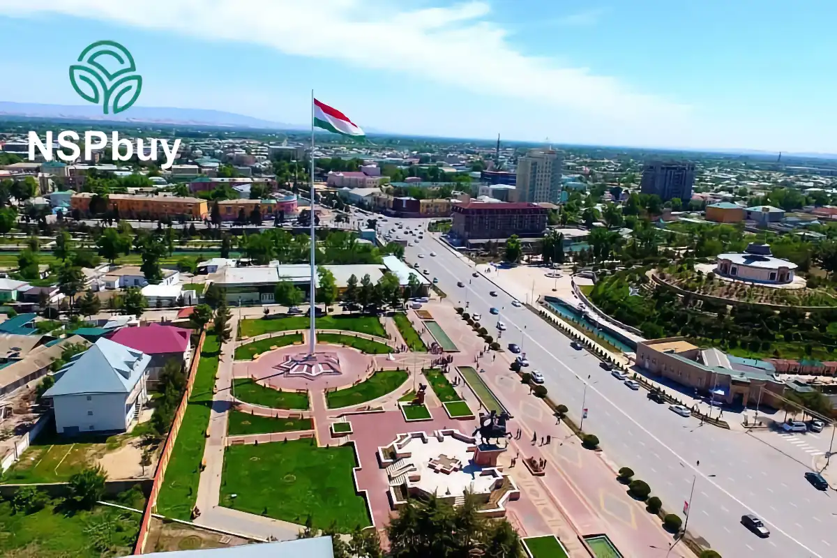 Купить NSP в Бохтаре 1 NSP в Бохтаре