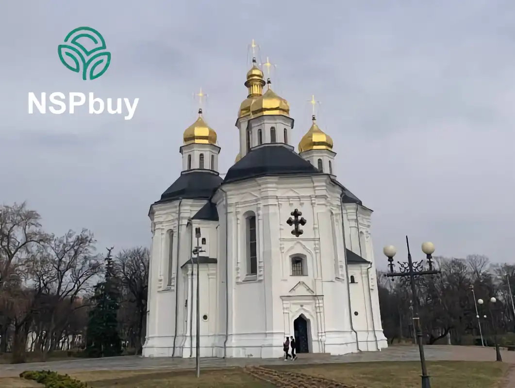 Купить NSP в Чернигове 1 chernigov