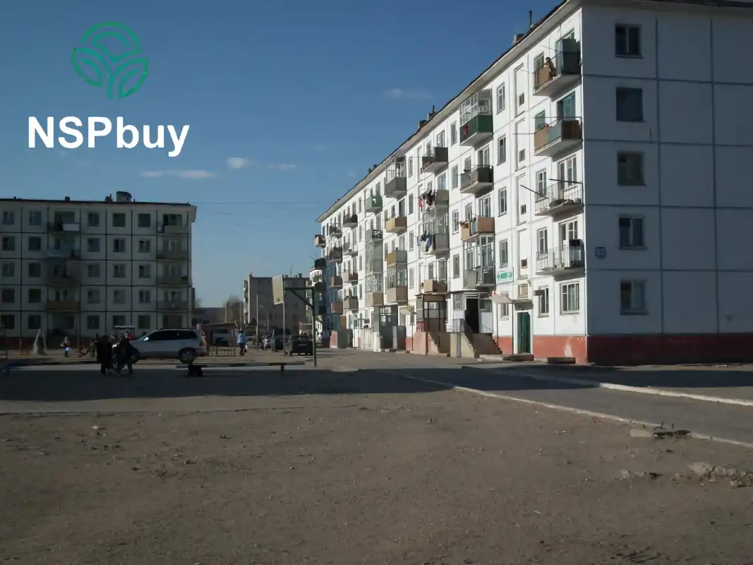 Купить NSP в Чойбалсане 1 NSP в Чойбалсане