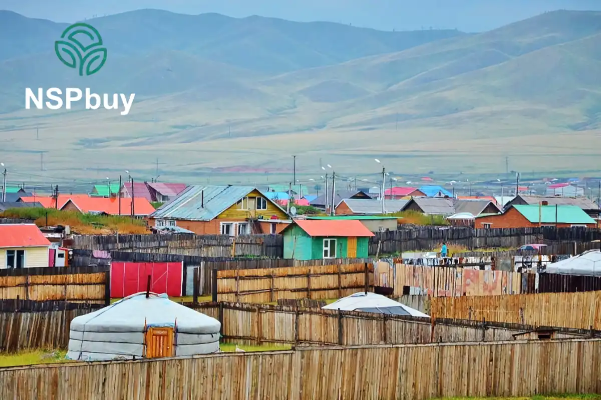 Купить NSP в Дархане 1 NSP в Дархане