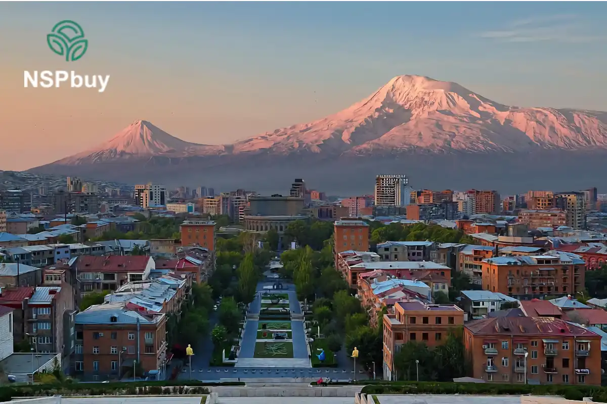 Купить НСП (NSP) в Ереване 1 Официальный сервисный центр NSP в Ереване на улице Хоренаци 33