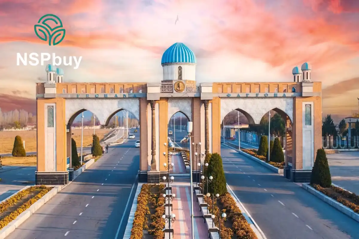 NSP в Фергане