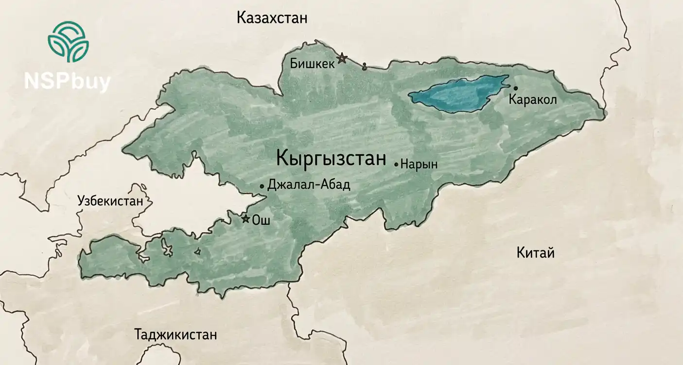 Продукция NSP Nature's Sunshine в Киргизии доставка и сервисный центр
