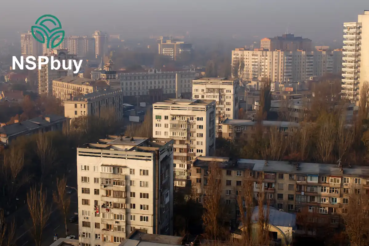 Купить продукцию NSP в Кишинёве 1 kishinev
