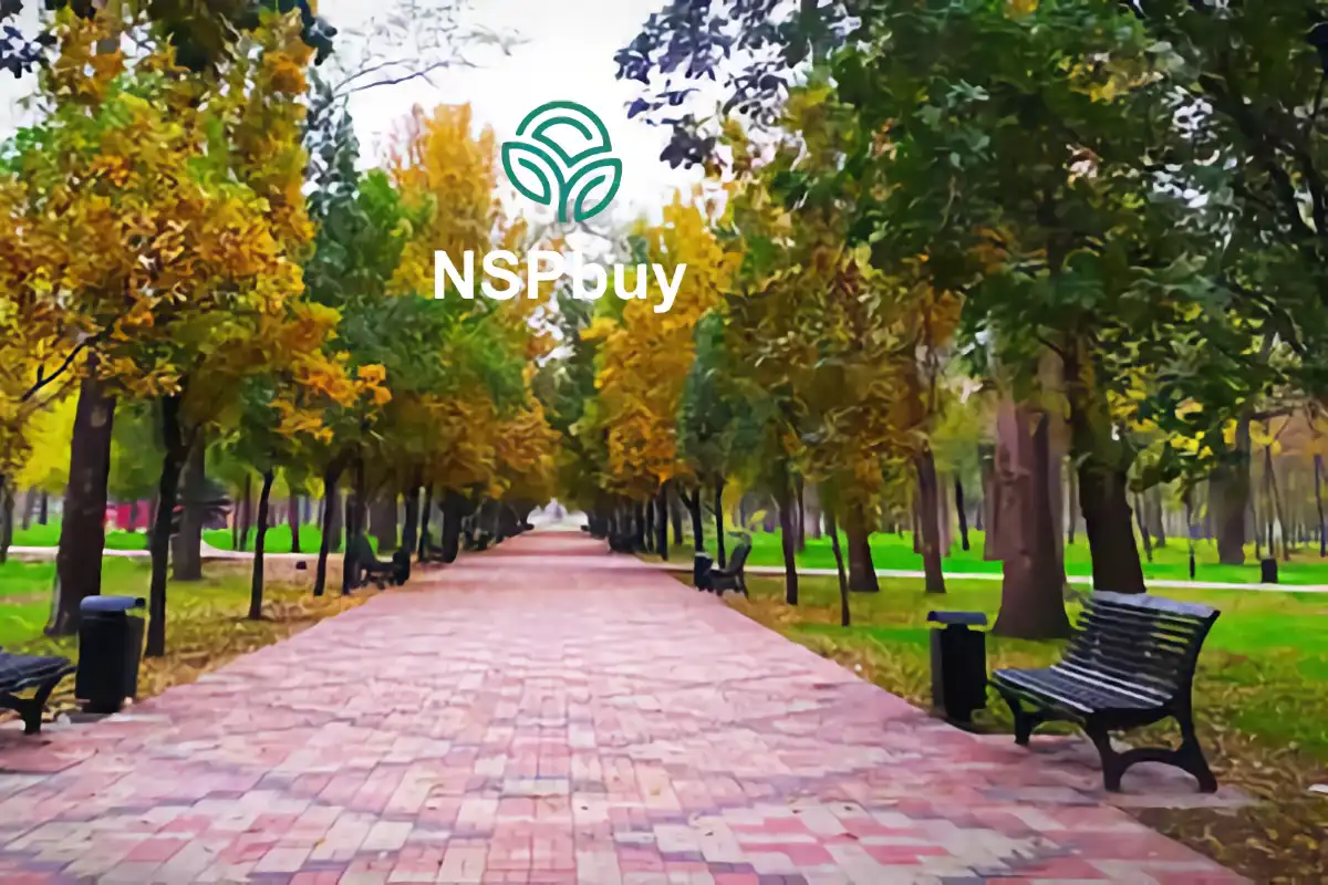 Купить NSP в Кременчуге 1 kremenchug