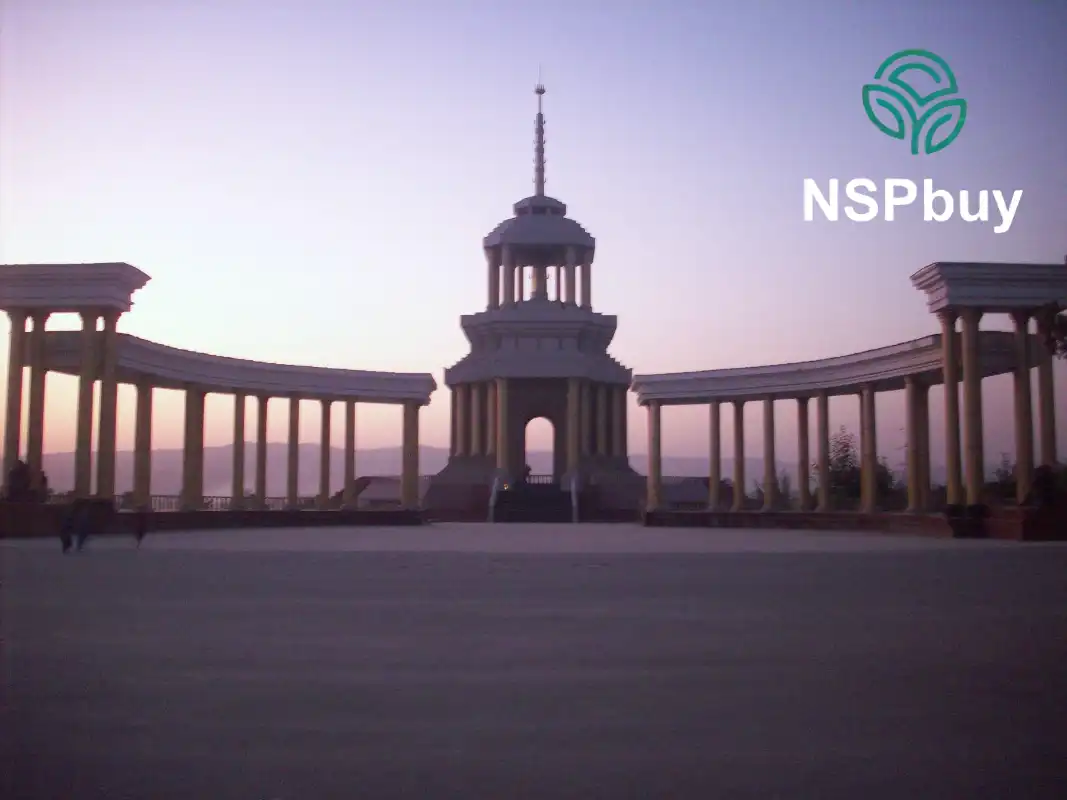Купить NSP в Кулябе 1 NSP в Кулябе