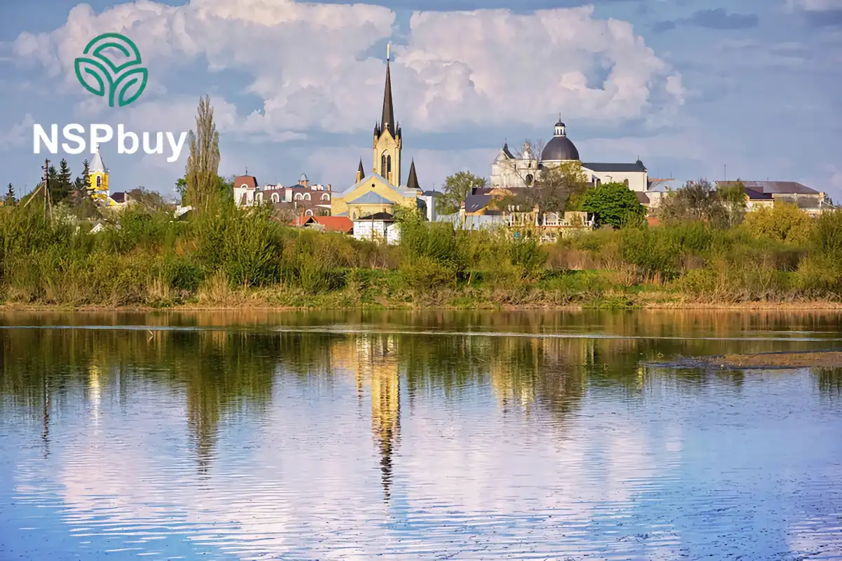 Купить NSP в Луцке 1 lutsk