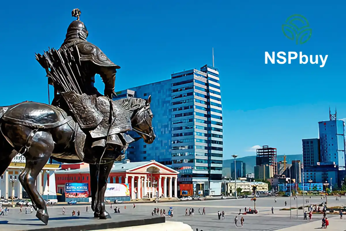 NSP в Улан-Баторе